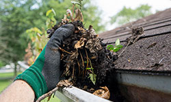 gutter cleaning